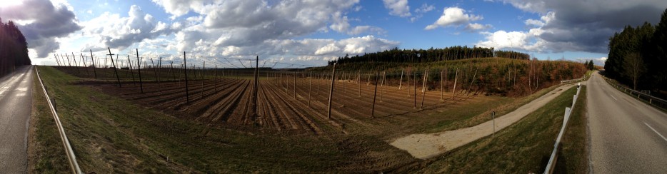 Hopfenland Hallertau